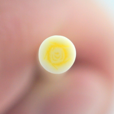 PAŁECZKA FIMO CYTRYNOWA