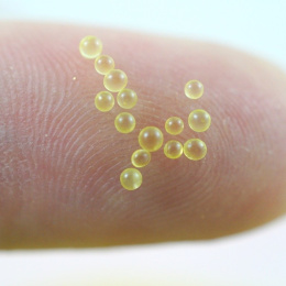 MIKROKULKI TRANSPARENTNE ŻÓŁTE 5g