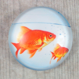 KABOSZON SZKLANY ZŁOTA RYBKA 25 mm.