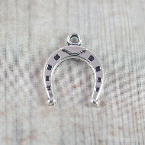 ZAWIESZKA METALOWA PODKOWA