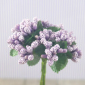 MINI KWIATEK FIOLETOWY 1 szt.