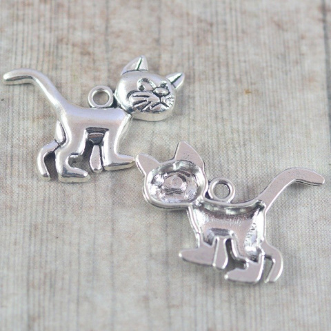 ZAWIESZKA SREBRNA KOT KLAKIER