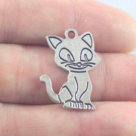 ZAWIESZKA SREBRNA KOTECZEK