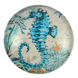 KABOSZON SZKLANY 20 mm.