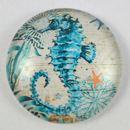 KABOSZON SZKLANY 20 mm.