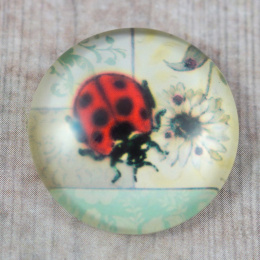 KABOSZON SZKLANY BIEDRONKA 25 mm.