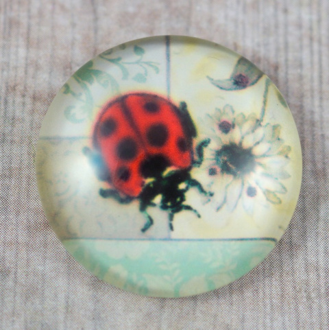 KABOSZON SZKLANY BIEDRONKA 25 mm.