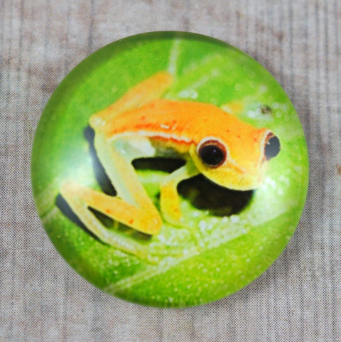 KABOSZON SZKLANY ŻABA ŻÓŁTA 10 mm