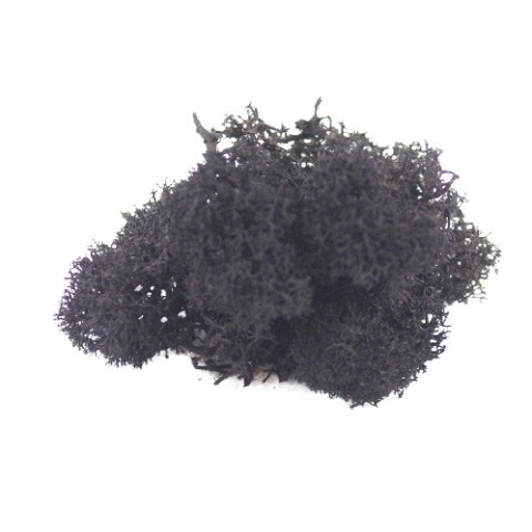 OZDOBNY MECH RENIFEROWY CZARNY 10g