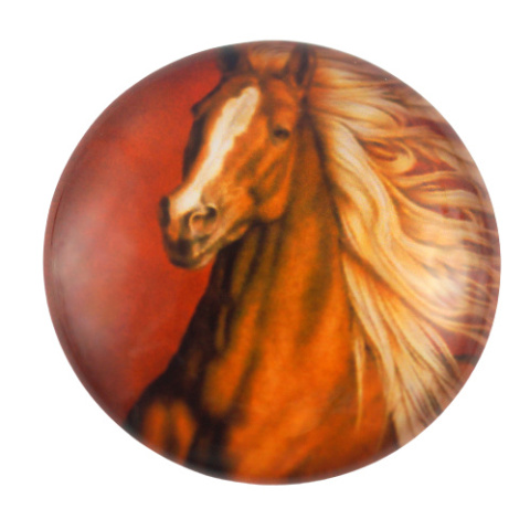 KABOSZON SZKLANY 20 mm.