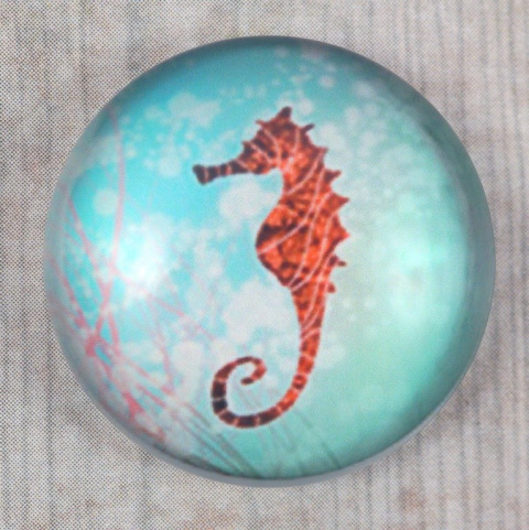 KABOSZON SZKLANY KONIK MORSKI 25 mm.