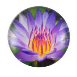 KABOSZON SZKLANY KWIAT 20 mm.