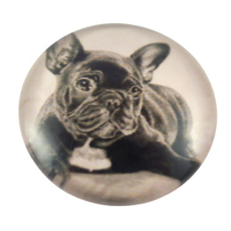 KABOSZON SZKLANY BULDOG 25 mm.