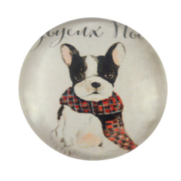 KABOSZON SZKLANY BULDOG W SZALIKU 12 mm