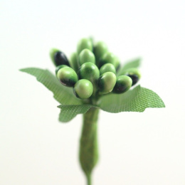 MINI CIEMNOZIELONY WRZOS 2 szt,