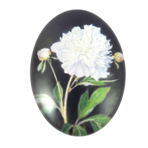 KABOSZON SZKLANY 18x25 mm.