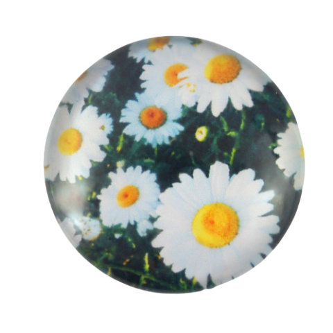 KABOSZON SZKLANY MARGARETKI 25 mm