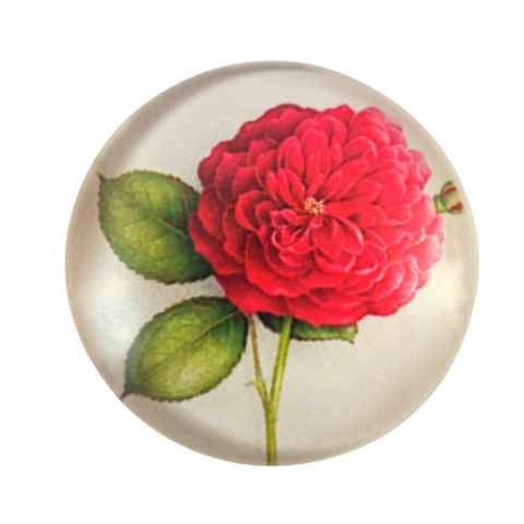 KABOSZON SZKLANY RÓŻA CZERWONA 20 mm.