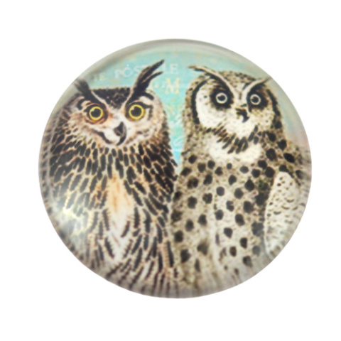 KABOSZON SZKLANY SOWY 25 mm.