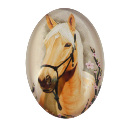 KABOSZON SZKLANY 13x18mm