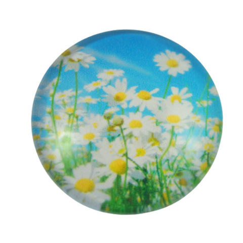 KABOSZON SZKLANY 25 mm.