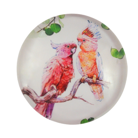 KABOSZON SZKLANY DWIE PAPUGI 25 mm.