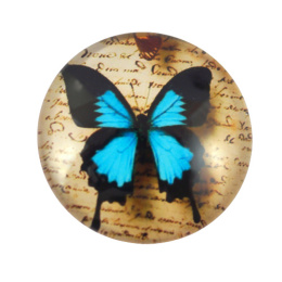 KABOSZON SZKLANY MOTYL 25 mm