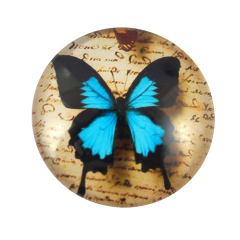 KABOSZON SZKLANY MOTYL 25 mm