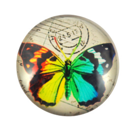 KABOSZON SZKLANY MOTYL 20 mm