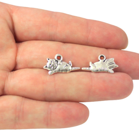 ZAWIESZKA SREBRNA KOT