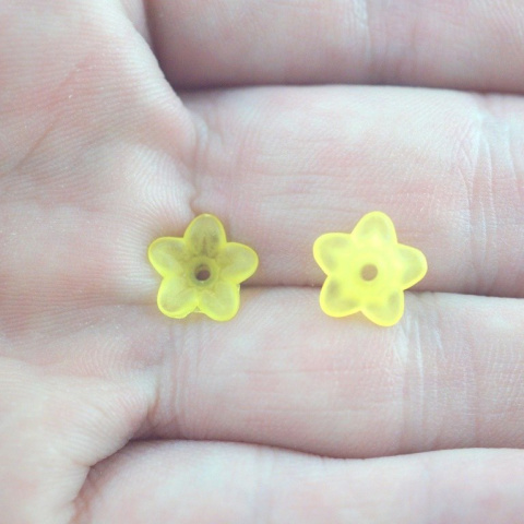 KWIATEK NIEZAPOMINAJKA ŻÓŁTA 15 szt.