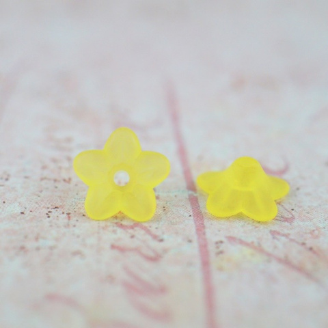 KWIATEK NIEZAPOMINAJKA ŻÓŁTA 15 szt.